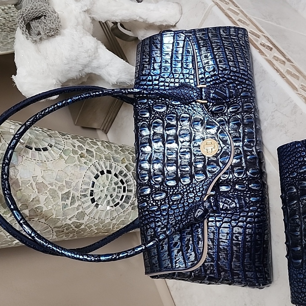 🌟💙 BRAHMIN DAYAN Kyanite Satchel, VERONICA Wallet, & CROCODILE Charm 💙🌟